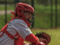 Heren Honkbal 1 - UVV 14-04-2024 30 : 2024 TRC Honkbal